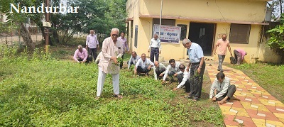 नंदुरबार शाखे तर्फे स्वच्छता कार्यक्रम राबवण्यात आला. स्थळ ज्येष्ठ नागरिक संघ कार्यालय प्रांगण.